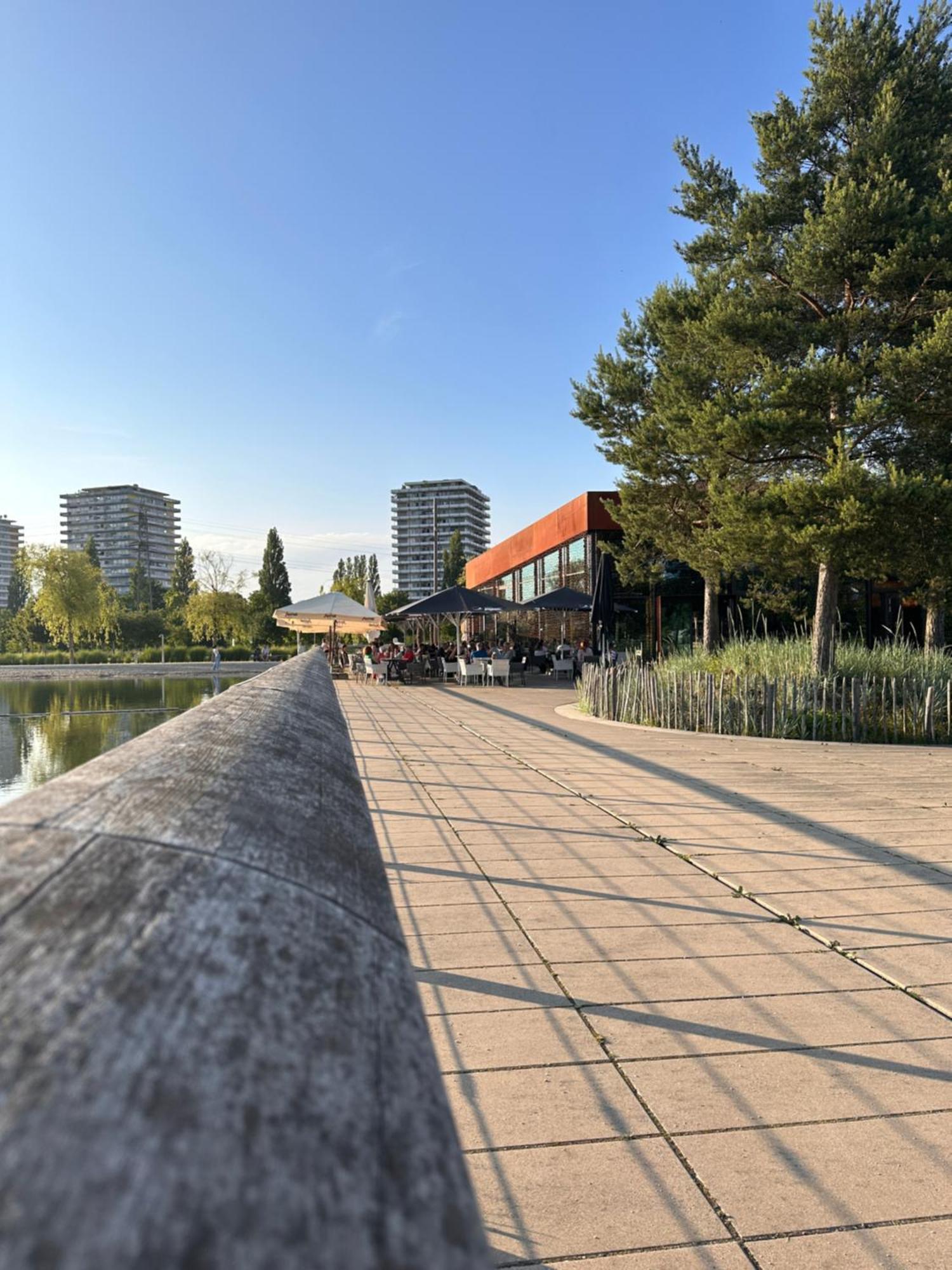 Amao-Brown I Exklusives City-Apartment I 85Qm I Privatparkplatz & Komfort I King-Size Bed Lahr/Schwarzwald Extérieur photo